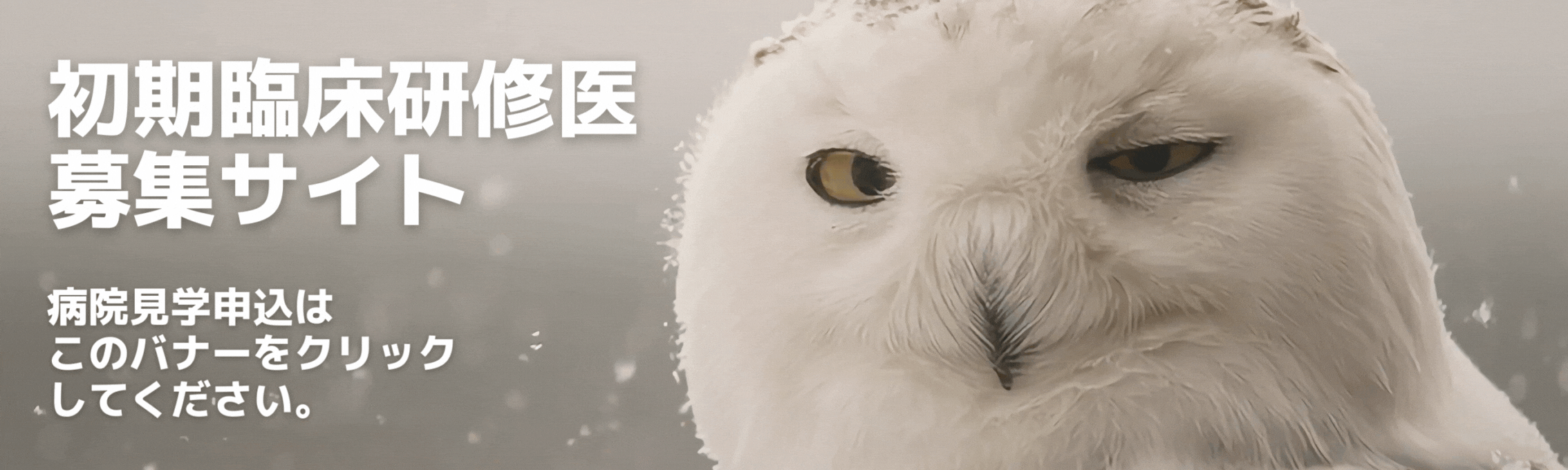 初期臨床研修医