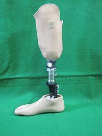 下腿義足PTB式2
